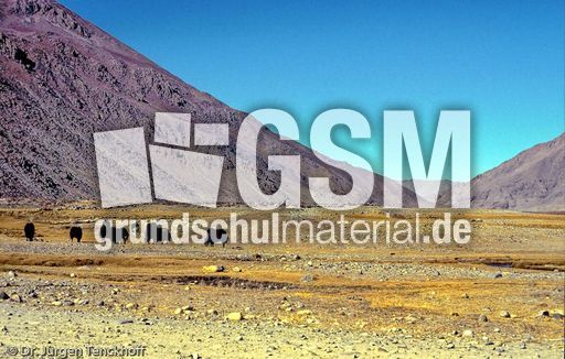 Tibet (155 von 257).jpg